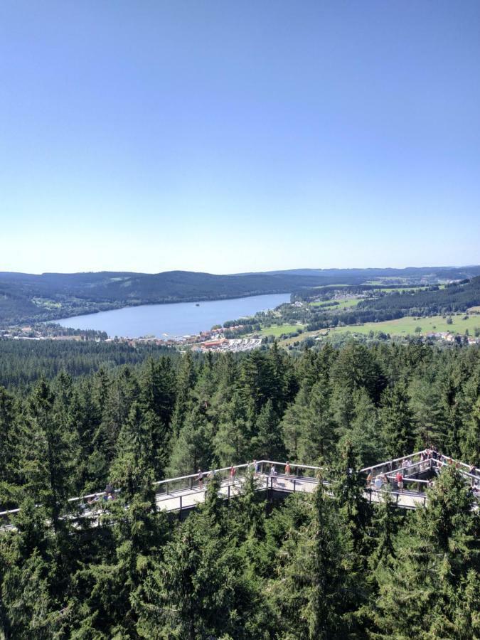 Apartmán Laura, Frymburk Esterno foto